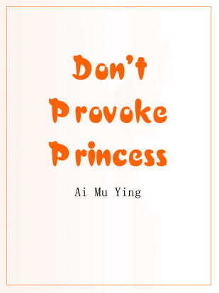 Don't Provoke Princess